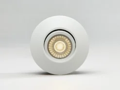 Downlight