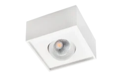 Downlight