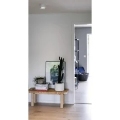 Downlight