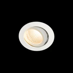 Downlight