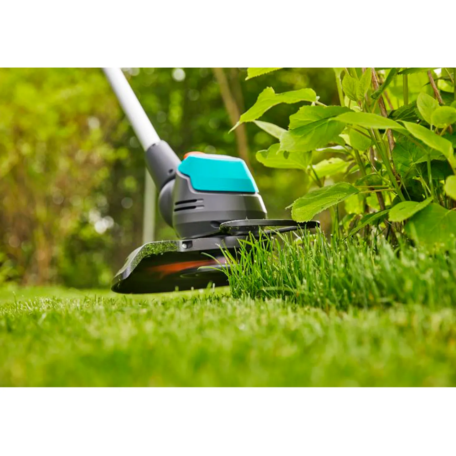 Grästrimmer