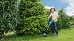 Grästrimmer