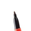 Penna