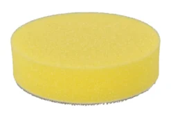 Polersvamp