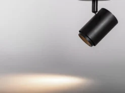 Spotlight