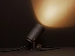 Spotlight